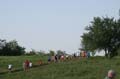 Sunflower Games X-country 0983