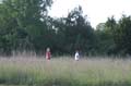 Sunflower Games X-country 0984