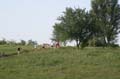 Sunflower Games X-country 0985
