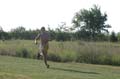 Sunflower Games X-country 1008