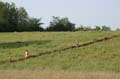 Sunflower Games X-country 1014