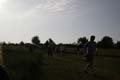Sunflower Games X-country 2254