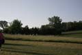 Sunflower Games X-country 2257