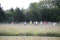 Sunflower Games X-country 2262