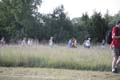 Sunflower Games X-country 2265