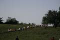 Sunflower Games X-country 2268