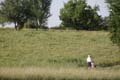 Sunflower Games X-country 2275