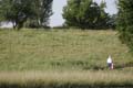 Sunflower Games X-country 2276