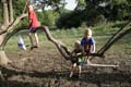 Sunflower Games X-country 2286