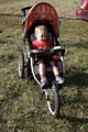 Sunflower Games X-country 2290