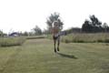 Sunflower Games X-country 2298