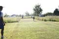 Sunflower Games X-country 2305
