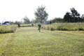 Sunflower Games X-country 2306