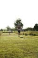 Sunflower Games X-country 2334