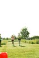 Sunflower Games X-country 2370