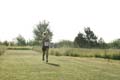 Sunflower Games X-country 2417