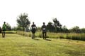 Sunflower Games X-country 2567