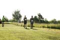 Sunflower Games X-country 2569