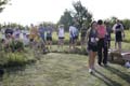 Sunflower Games X-country 2599