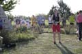 Sunflower Games X-country 2610
