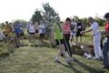 Sunflower Games X-country 2623
