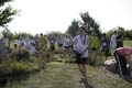 Sunflower Games X-country 2639