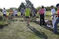 Sunflower Games X-country 2656