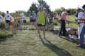 Sunflower Games X-country 2657