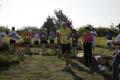 Sunflower Games X-country 2659
